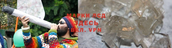 сатива Баксан