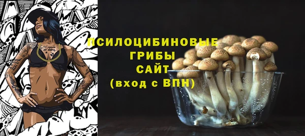 сатива Баксан