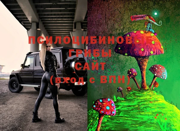 сатива Баксан